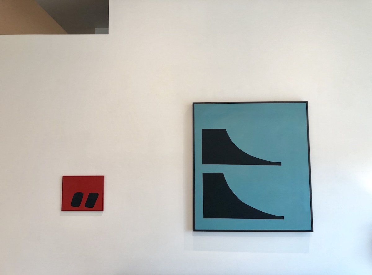 Steuart Pittman Lake- installation