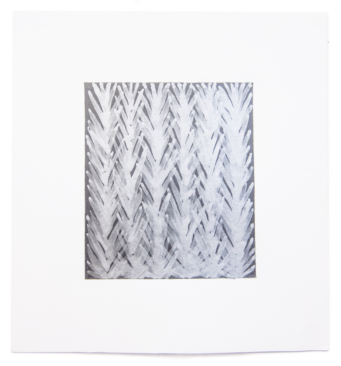 Amy Kaufman Acropora 2, 2017